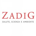 Zadig